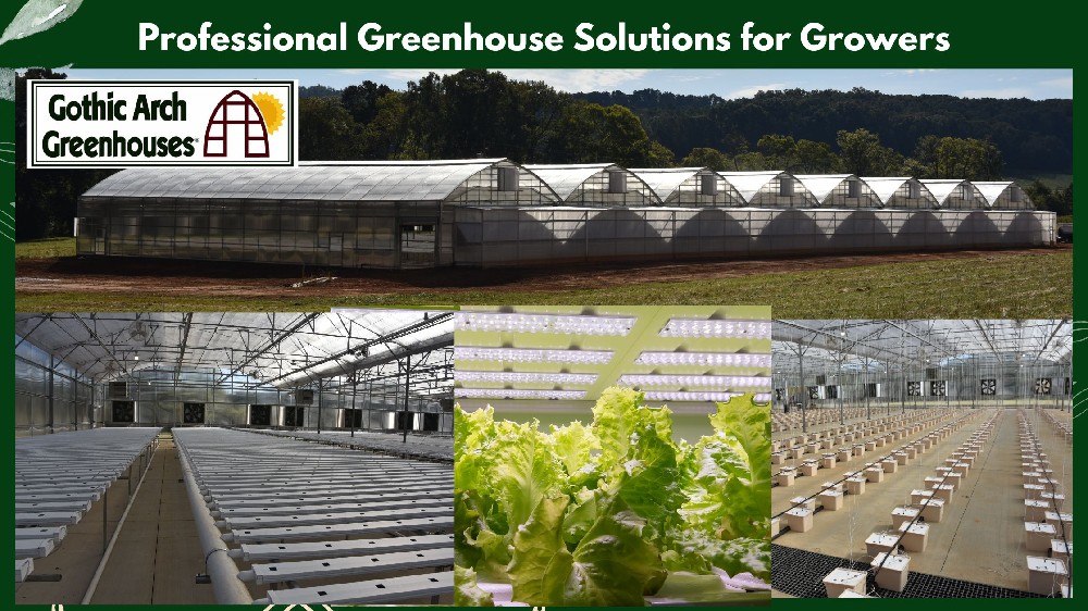 Professional Greenhouse Solutions for Growers: Science-Backed Insights
